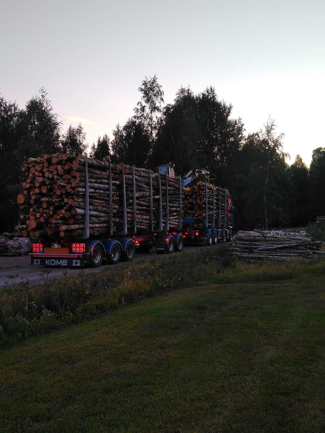 Puutavara-auto täydessä kuormassa kesäisenä iltana