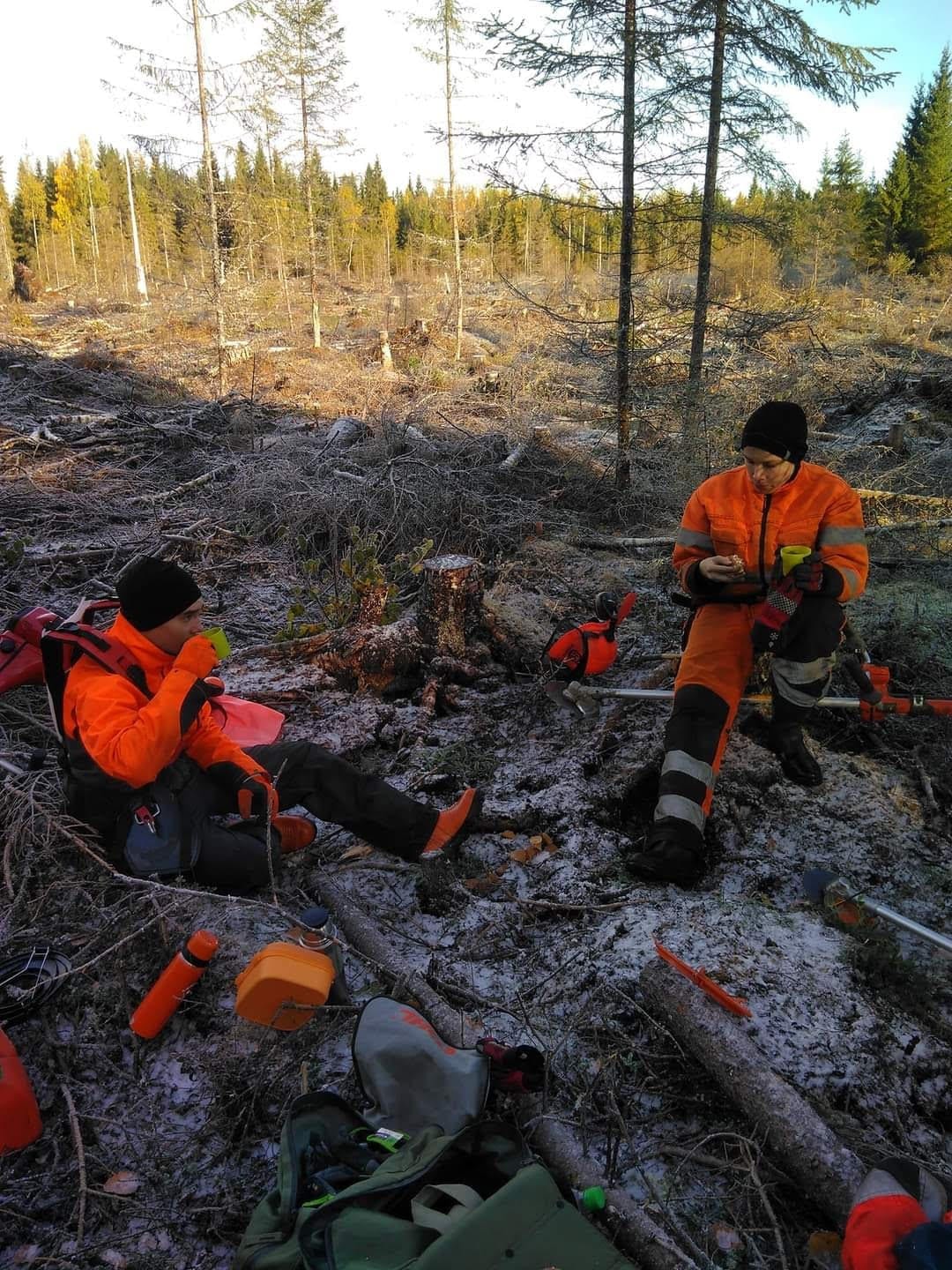 Kahvitauko raivaustöiden keskellä syksyisellä uudistusalalla